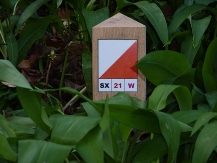 Orienteering Marker at Plas Newydd